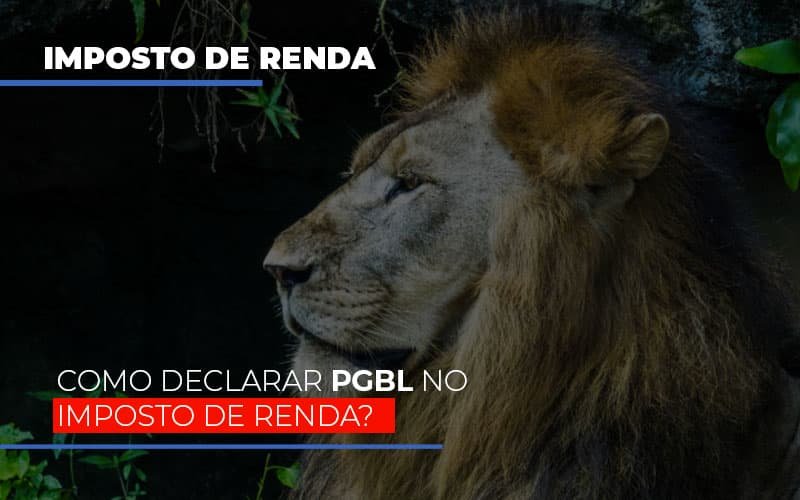 Ir2020:como Declarar Pgbl No Imposto De Renda Notícias E Artigos Contábeis - Contabilidade em Vila Velha - ES | Controw Contabilidade
