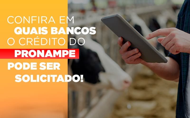 Confira Em Quais Bancos O Credito Pronampe Ja Pode Ser Solicitado Notícias E Artigos Contábeis - Contabilidade em Vila Velha - ES | Controw Contabilidade